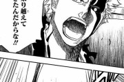 【ブリーチ】黒崎一護「…“絶望“が何だって…」ワイ「！？」