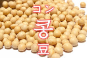 起源ガー！って騒いでいるのは韓国だけ　～　【韓国】 大豆の起源種ツルマメは我が国が起源…中国が起源と表記、これを正す必要性