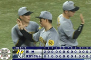 【ヤクルト対阪神21回戦】ヤクルト対阪神は２－２で延長１２回引き分け