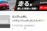 車の純正エンブレム外す奴ｗｗｗｗｗｗｗｗｗｗｗｗｗｗｗｗｗｗ
