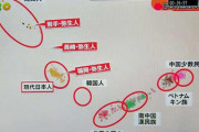 DNA調査で　日本人　韓国人　中国人　違うと判明　NHK