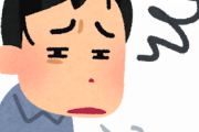 評価は高いけど正直合わなかったゲーム