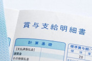 【朗報】ワイ、本日賞与の入金を確認！！！！！！！！！?