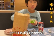 【画像】少年、マックのポテトの代わりに枝豆を頼んだ親を睨んで問いただしてしまう…
