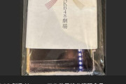 高額転売されてしまうAKB48劇場記念品