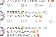 アズマリムがTwitterで楽しそうにしとる【Vtuber】