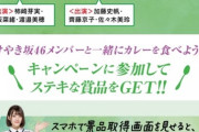 CoCo壱番屋のHP見に行ったら日向坂だった…