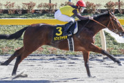 【競馬】　シリウスステークス(GⅢ) 　2chレスまとめ