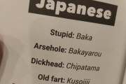 【画像】海外の日本語参考書「日本語の罵倒がこれです」←めちゃくちゃすぎて草ｗｗｗｗ