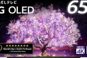 LGの有機ELテレビ、優れた画質で日本で最高評価