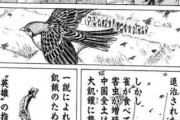 【済州航空事故】「鳥のせいで数百人が亡くなったのに」…拡散する鳥専門ユーチューバーへの中傷