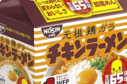 【画像あり】ふぅん、５食入りのインスタントラーメン（乾麺袋入り）が税込みで600円以上するのか・・・