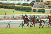月に1、2回しか会えないのに、デートの最中でも彼氏が1時間ほどスマホで競馬をしてほっとかれる　趣味を楽しむ相手を許容出来ない私の心が狭いんだろうか