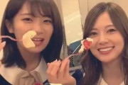 【有能】乃木坂46「しあわせの保護色」発売記念動画、特典でも良かったレベルなんだがｗｗｗ