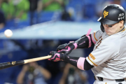 巨人･丸佳浩 (34)  .255  15本  42点  ops.755 ← 来年広島復帰！？
