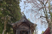 海外「桜の時期に日光旅行をしてきた！」春の日光に対する海外の反応