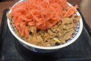 【謎】牛丼にアホみたいな量の紅ショウガ盛って食ってる奴たまにいるけど