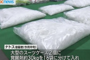 カナダ人女性、日本に17億円相当の30㎏覚せい剤を持ち込み逮捕