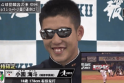 小園海斗（四球団競合）1年目年俸800万円←これw