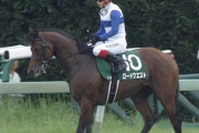 【競馬】今週はロークエやビッグアーサーみたいな堅い馬いないの？