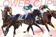 第37回 ファルコンステークス (GⅢ)&第37回 フラワーカップ (GⅢ)