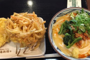【わかる】丸亀製麺で毎回野菜のかき揚げ取るんだけど、半分食べた所で後悔する(´･ω･`)