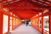 同僚からずっととある神社に一緒に行こうと誘われ続けてるけど断りたい。自分は建築が好きだから、有名な神社なんか行くと…