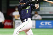 山田哲人(7年40億).267(217-58)17本(3位)45打点(2位)40得点(2位)32四球(3位)OPS.906(2位)