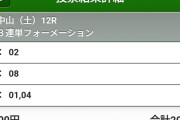 お前ら競馬負けたらいつもどうしてる?　他