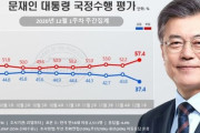 文大統領の支持率、歴代最低値に下落…与野党支持率も逆転＝韓国の反応