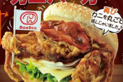 ドムドムが近くにある奥様　これ食べて感想教えてくださいな（画像）