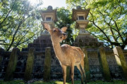 【悲報】奈良県の南側、ガチのマジで秘境すぎるｗｗｗｗ