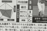 【画像】阪神の今年のドラ１、ほぼ決定する