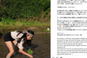 【悲報】ローラさん、素足で田植えして炎上