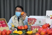 【台湾】台南産マンゴーの対日輸出量、前年比倍増の見通し
