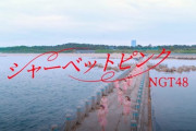 【Billboard JAPAN】NGT48『シャーベットピンク』初週売上92,299枚 wwwwwwwwwwwwwwww