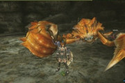 巨大なカニと戦えるゲームってモンハン以外にないの？