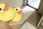 阪神　藤浪晋太郎さんAmazonおすすめでポチったアヒルをお風呂に入れて遊ぶ