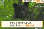 タケノコ採りをしていた2人、クマに襲われ1人が死亡