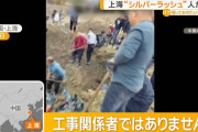 上海の工事現場で「シルバーラッシュ」、清の時代の銀貨が数千枚見つかり一攫千金狙う中国人が殺到！