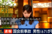 【速報】財務省の車が国会前でひき逃げ→首相官邸前で逃走者が横転→犯人が暴れ始め逮捕