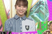【欅坂46】「ゲバぽんにしますか？」ワイ「する」