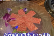 【悲報】宮迫さんの焼肉屋、コンサルのせいで失敗しそう