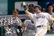 プロ野球って観客にボールぶつけすぎだろｗ