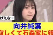 【ほっこり】櫻坂46向井純葉寂しくて石森の家へ向かっていた模様…#櫻坂46