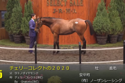【セレクトセール2021】グローリーヴェイズの半弟を藤田晋氏が落札　他