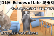 にゃちさん　エコーズさいたま最終日の様子を猫ミームで再現！