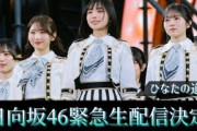 日向坂46が緊急生配信を決定。サプライズが待っているのか？【ひなたフェス2026】