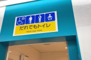【多目的トイレ】この前ベビーカーで買い物行った時に普通のトイレに入れなくて仕方なく多目的トイレ使ったんだけど、トイレから出たら車椅子の人が待ってて文句を言われた