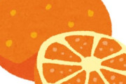 みかんが甘くておいc